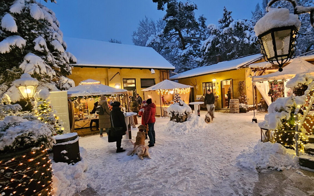 Hundeweihnachtsmarkt beim Steinklammer